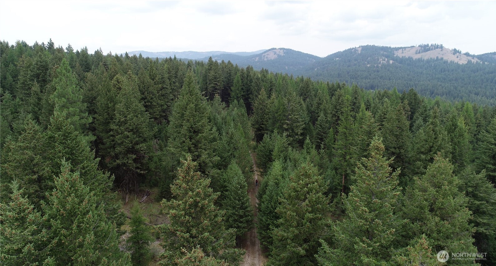 111 Tbd Wannamaker Road Oroville WA 98844