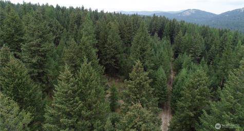 111 Tbd Wannamaker Road Oroville WA 98844