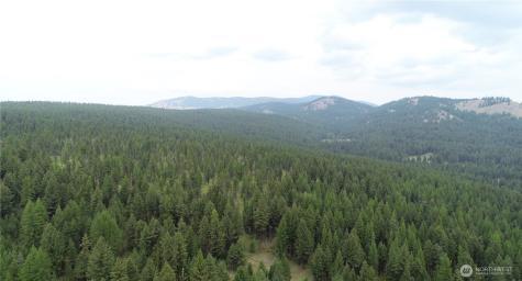 111 Tbd Wannamaker Road Oroville WA 98844