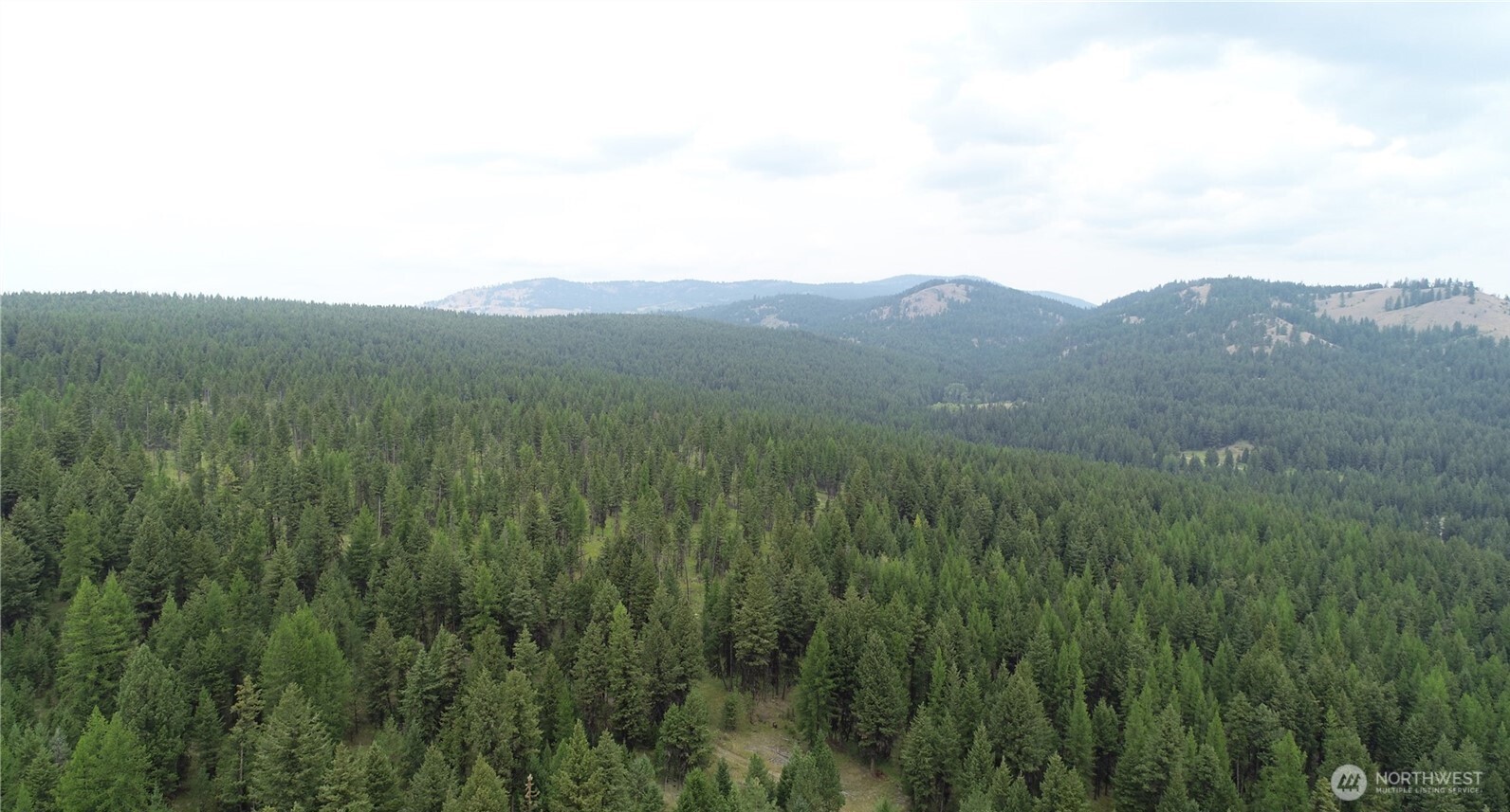 111 Tbd Wannamaker Road Oroville WA 98844