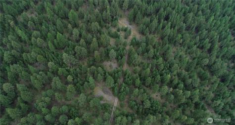 111 Tbd Wannamaker Road Oroville WA 98844