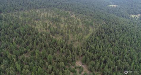 111 Tbd Wannamaker Road Oroville WA 98844