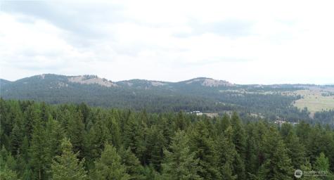 111 Tbd Wannamaker Road Oroville WA 98844