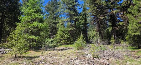 111 Tbd Wannamaker Road Oroville WA 98844