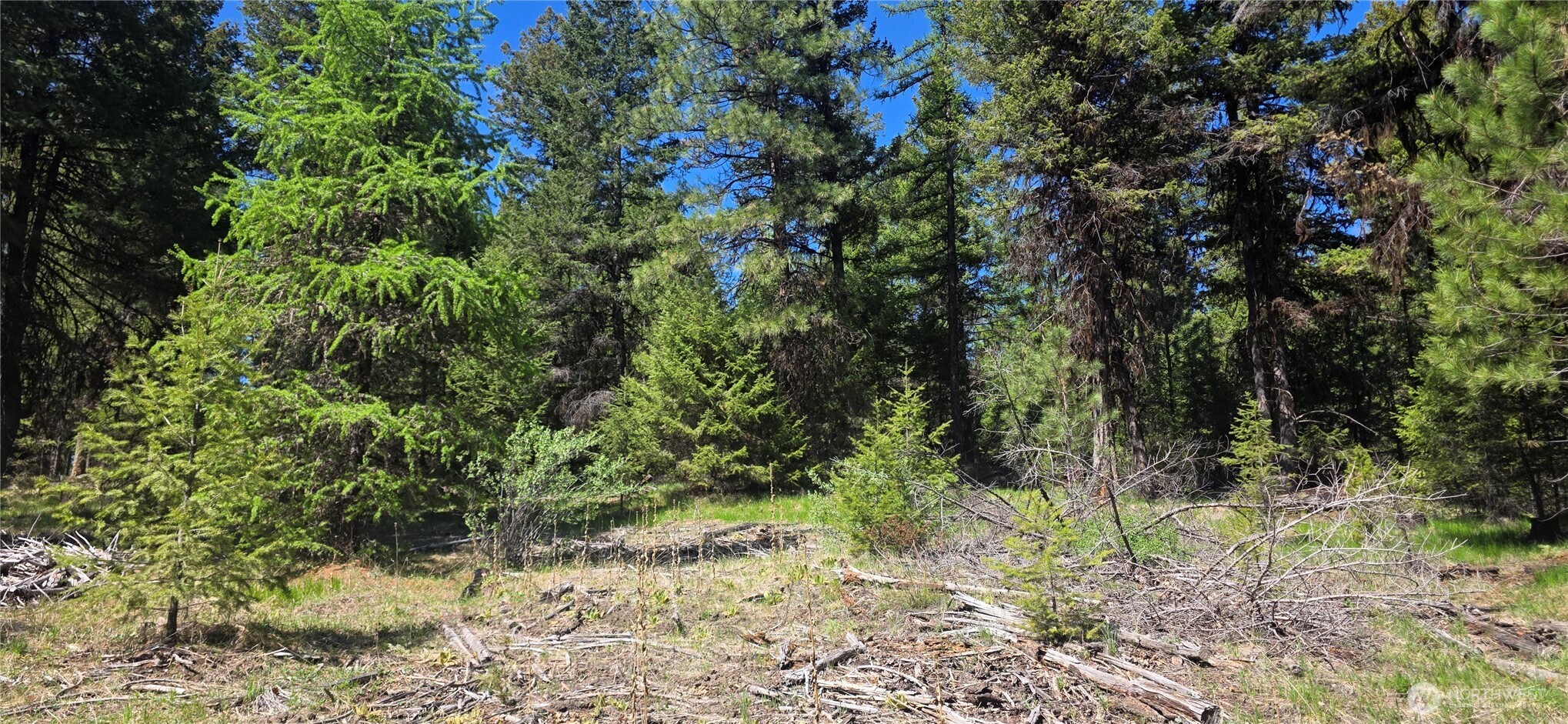 111 Tbd Wannamaker Road Oroville WA 98844