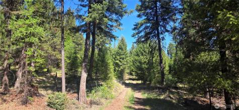 111 Tbd Wannamaker Road Oroville WA 98844