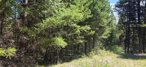 111 Tbd Wannamaker Road Oroville WA 98844