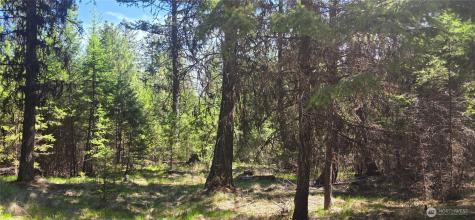 111 Tbd Wannamaker Road Oroville WA 98844