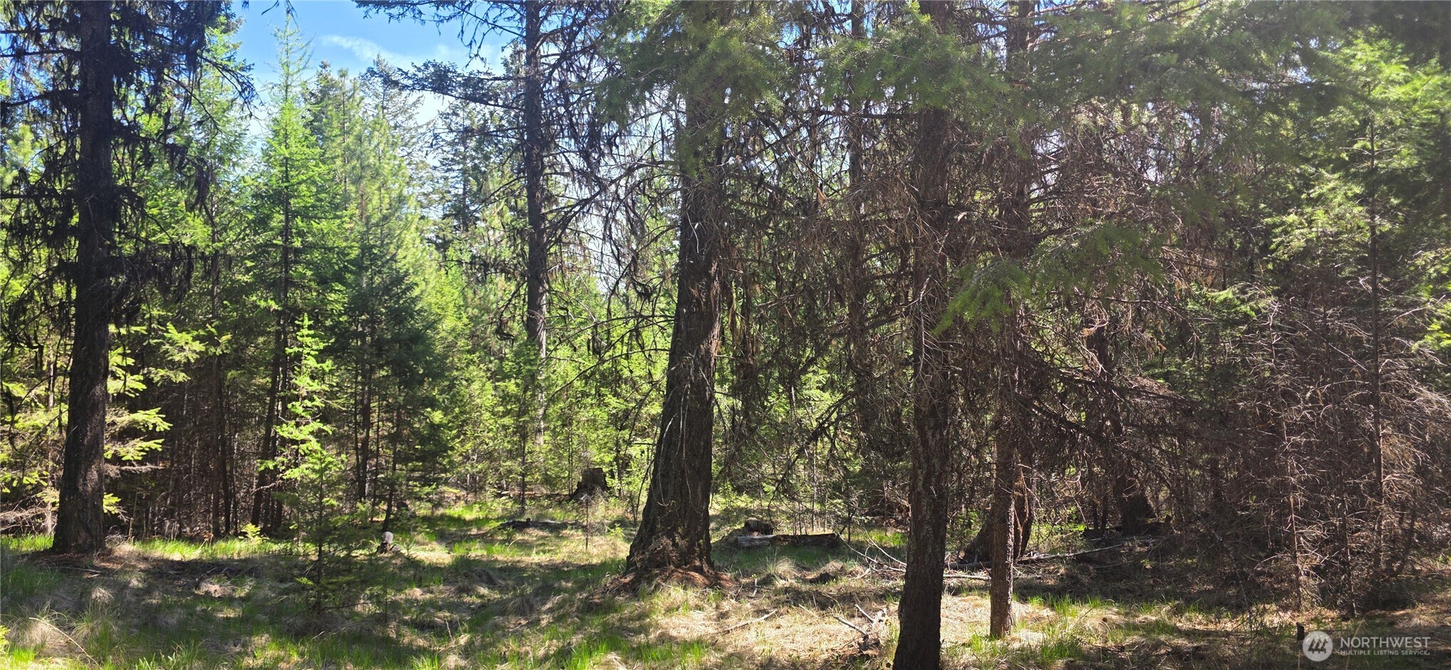 111 Tbd Wannamaker Road Oroville WA 98844