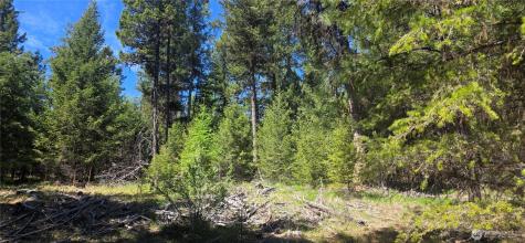 111 Tbd Wannamaker Road Oroville WA 98844