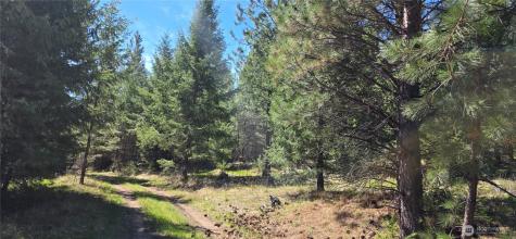 111 Tbd Wannamaker Road Oroville WA 98844