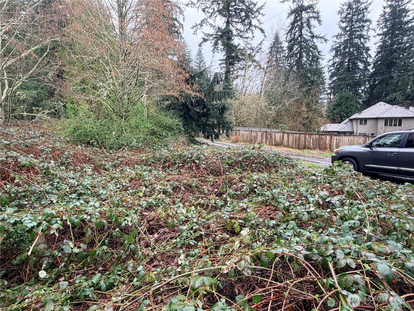 0 238th Avenue NE Redmond WA 98053