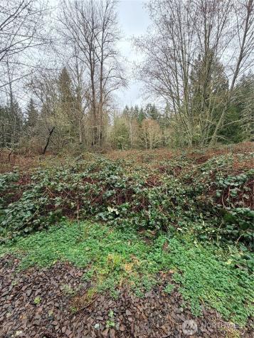 0 238TH Redmond WA 98053