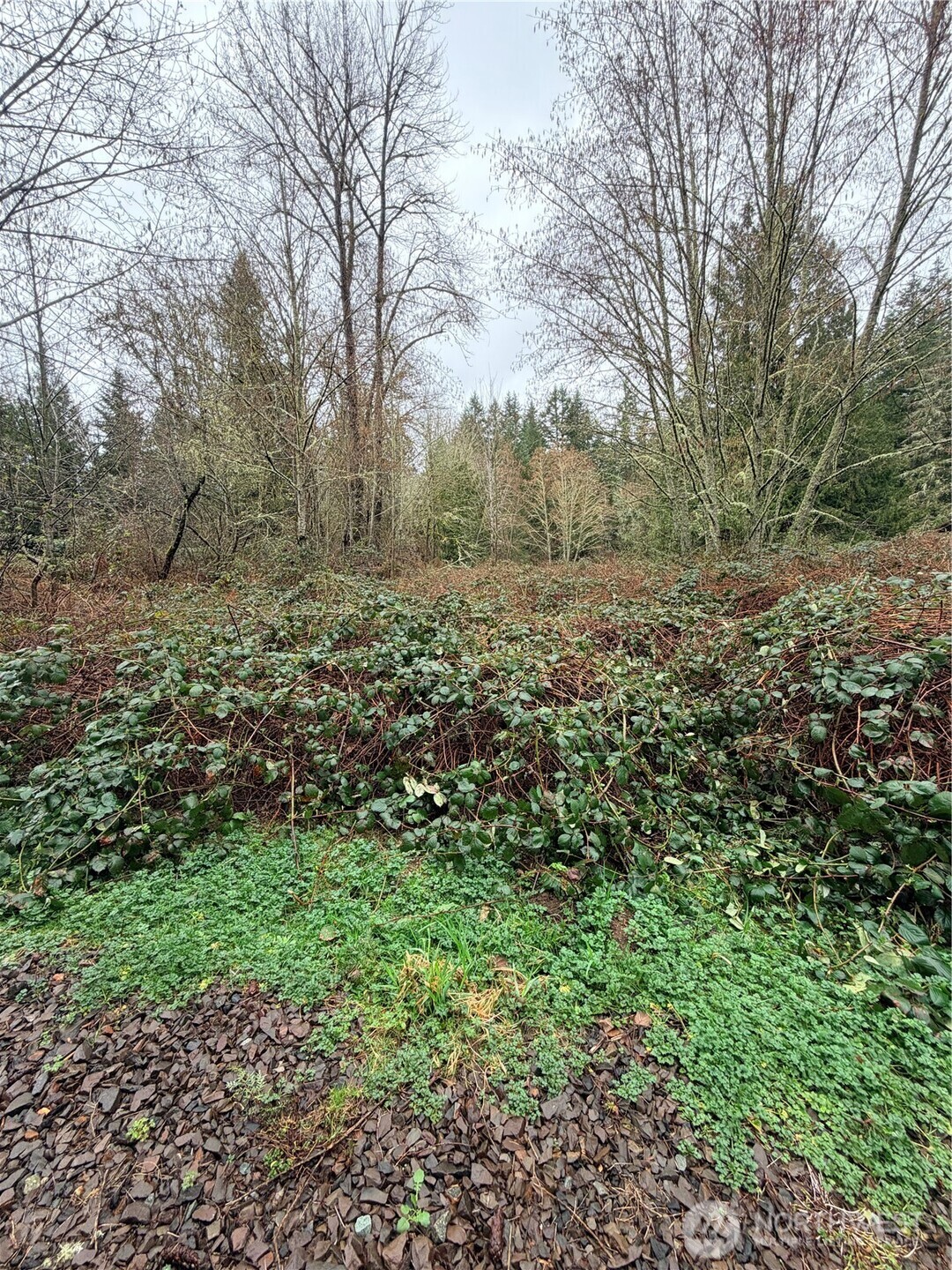 0 238th Avenue NE Redmond WA 98053