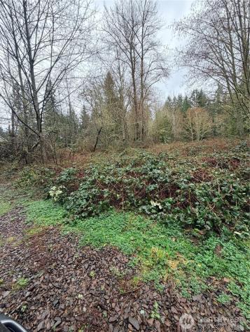 0 238th Avenue NE Redmond WA 98053