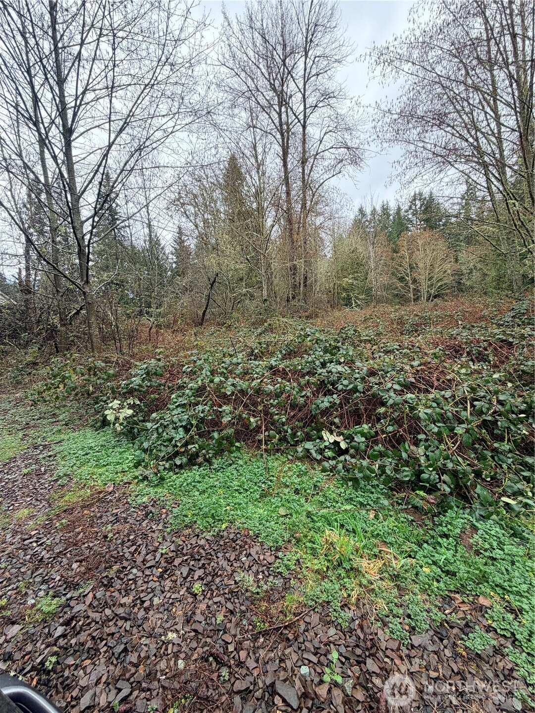 0 238th Avenue NE Redmond WA 98053
