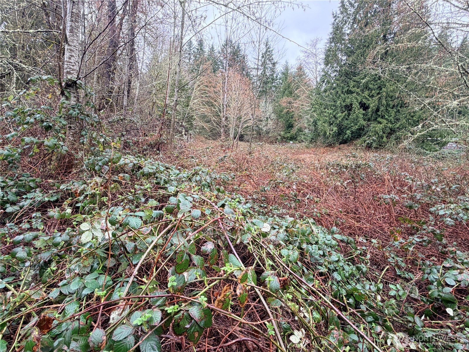 0 238th Avenue NE Redmond WA 98053
