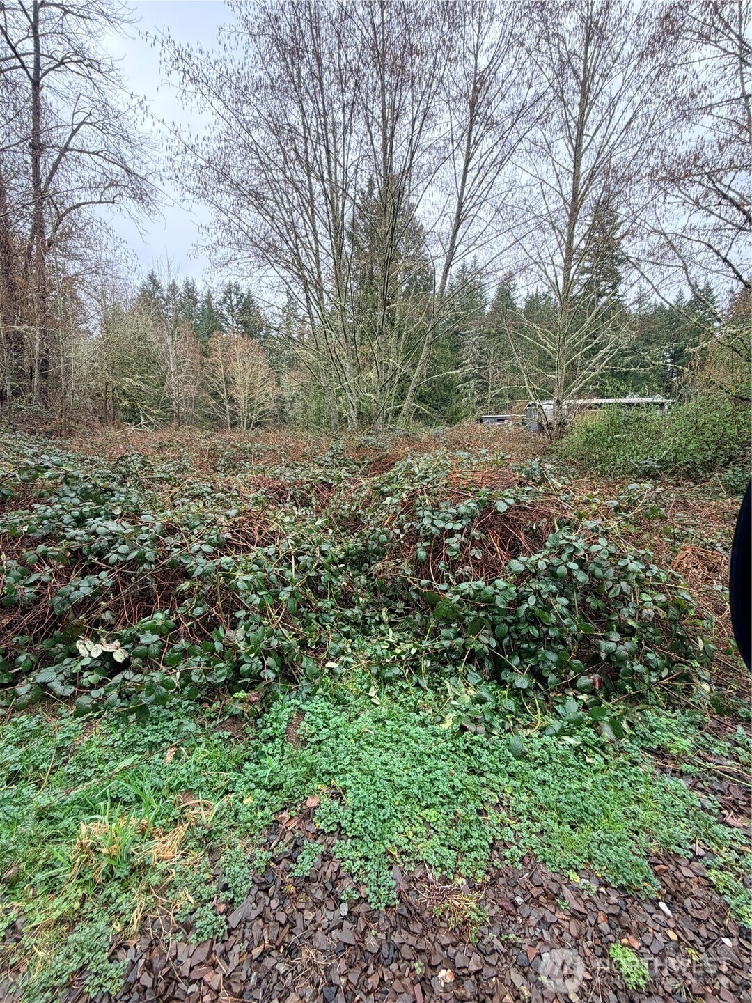 0 238th Avenue NE Redmond WA 98053