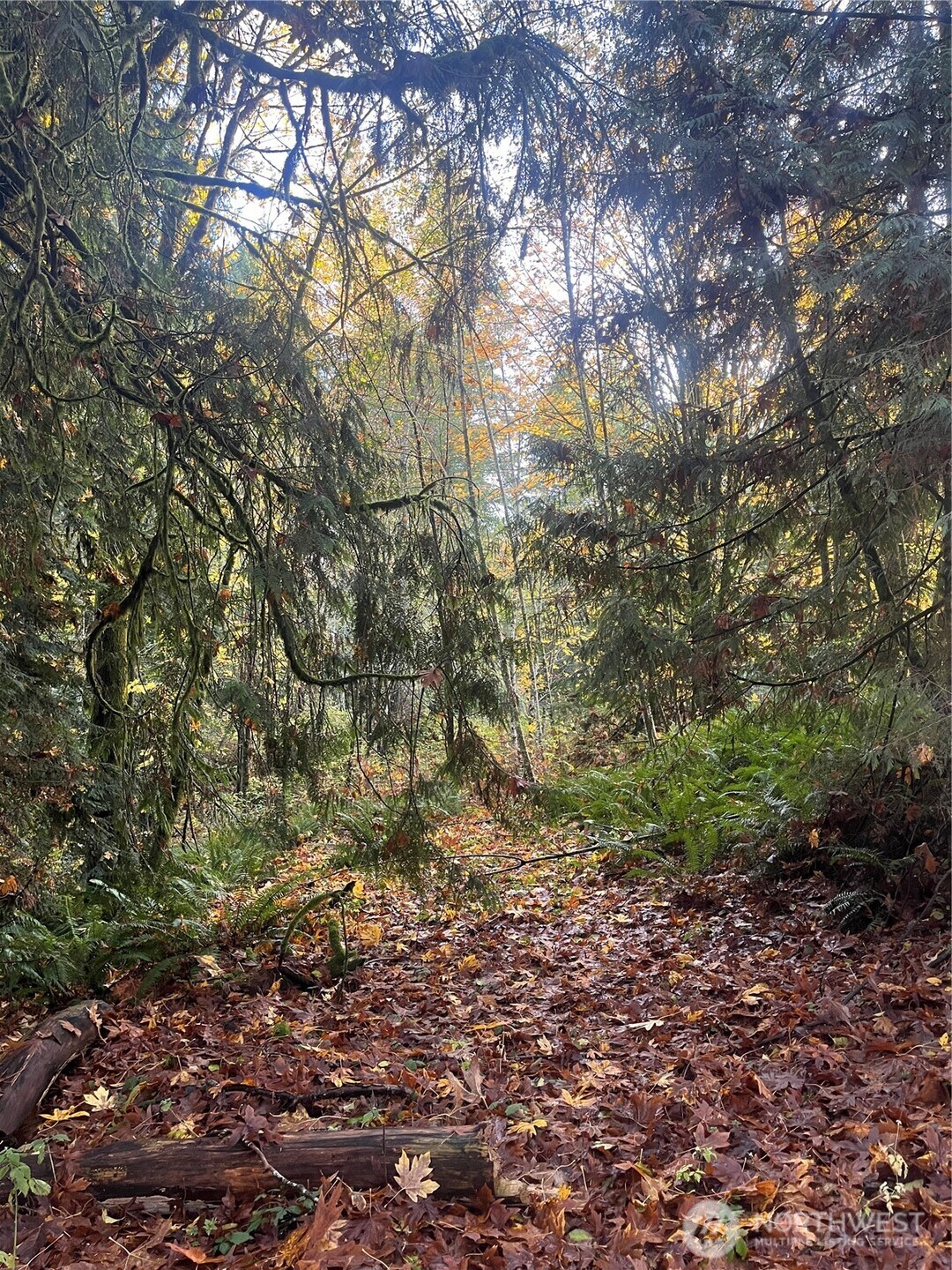 8621 SE Bethel Burley Road Port Orchard WA 98367