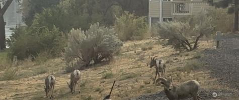 151 Sweetwater Lane Wenatchee WA 98801