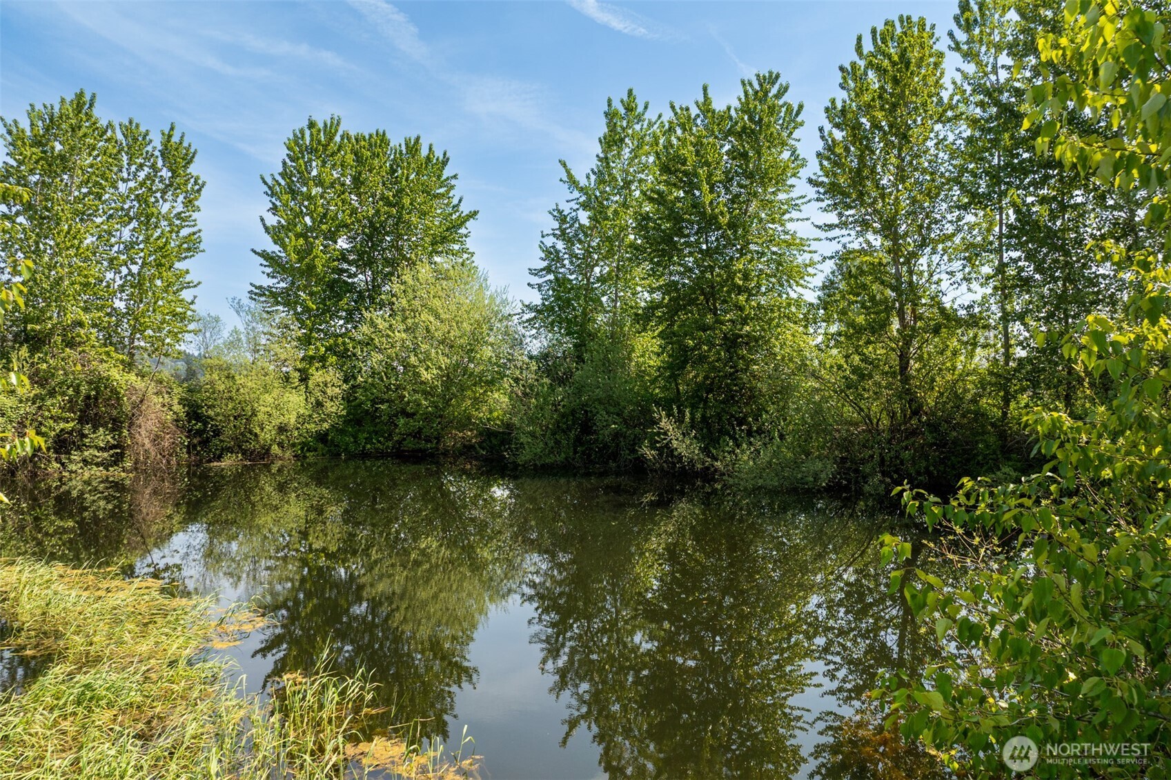 0 Whalen Woodland WA 98674