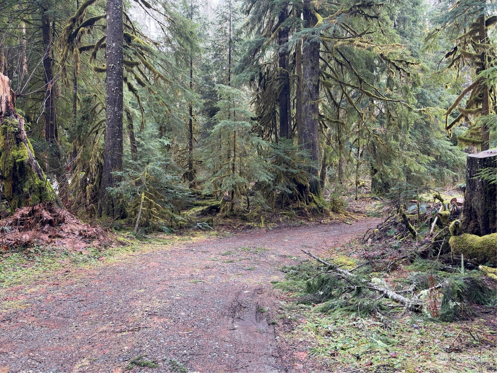 0 Whitton Avenue Granite Falls WA 98252