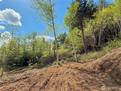 143 N Shar Lane Lilliwaup WA 98555