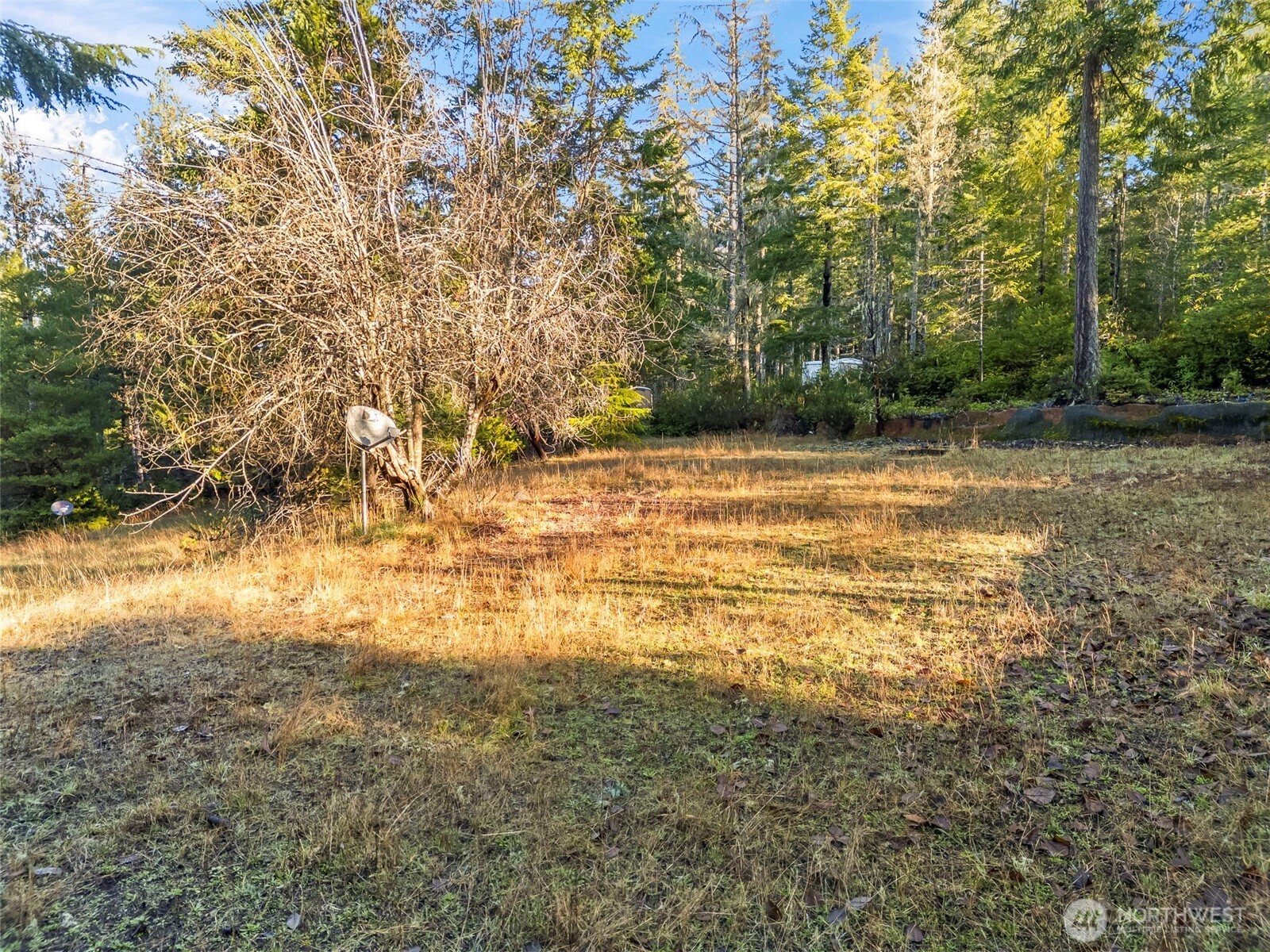 1121 E Timber Tides Drive Union WA 98592
