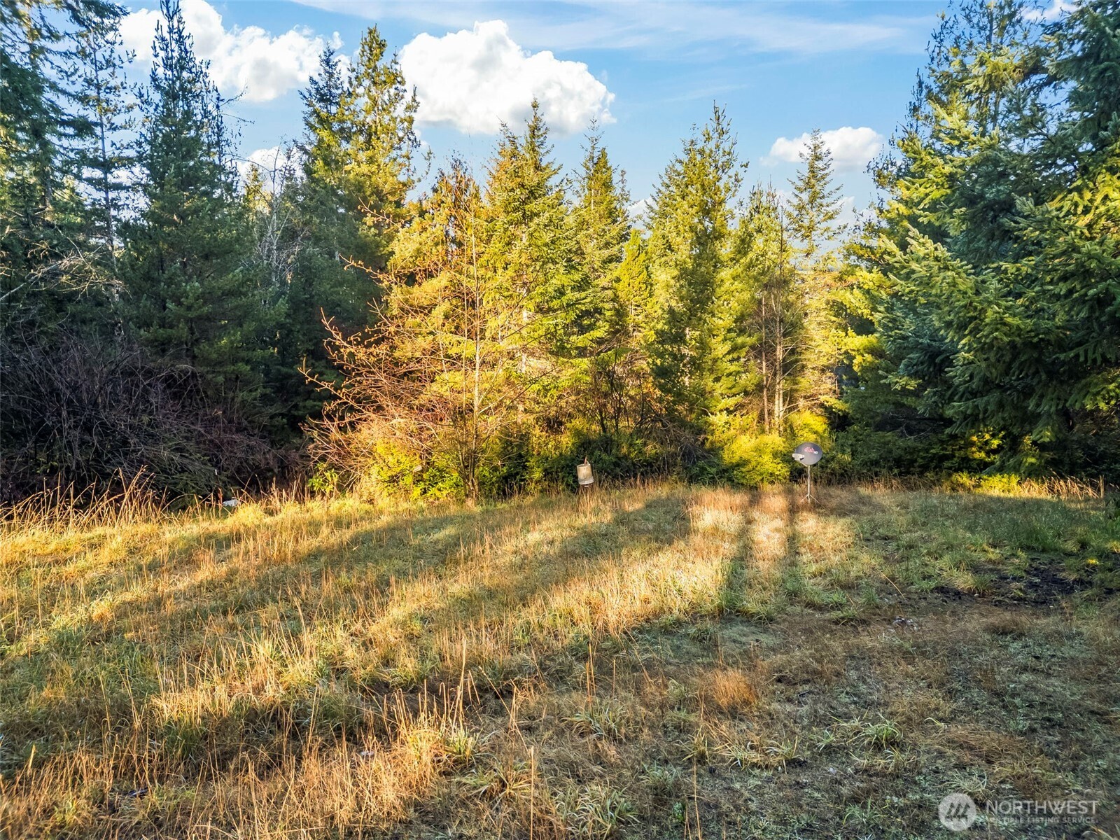 1121 E Timber Tides Drive Union WA 98592