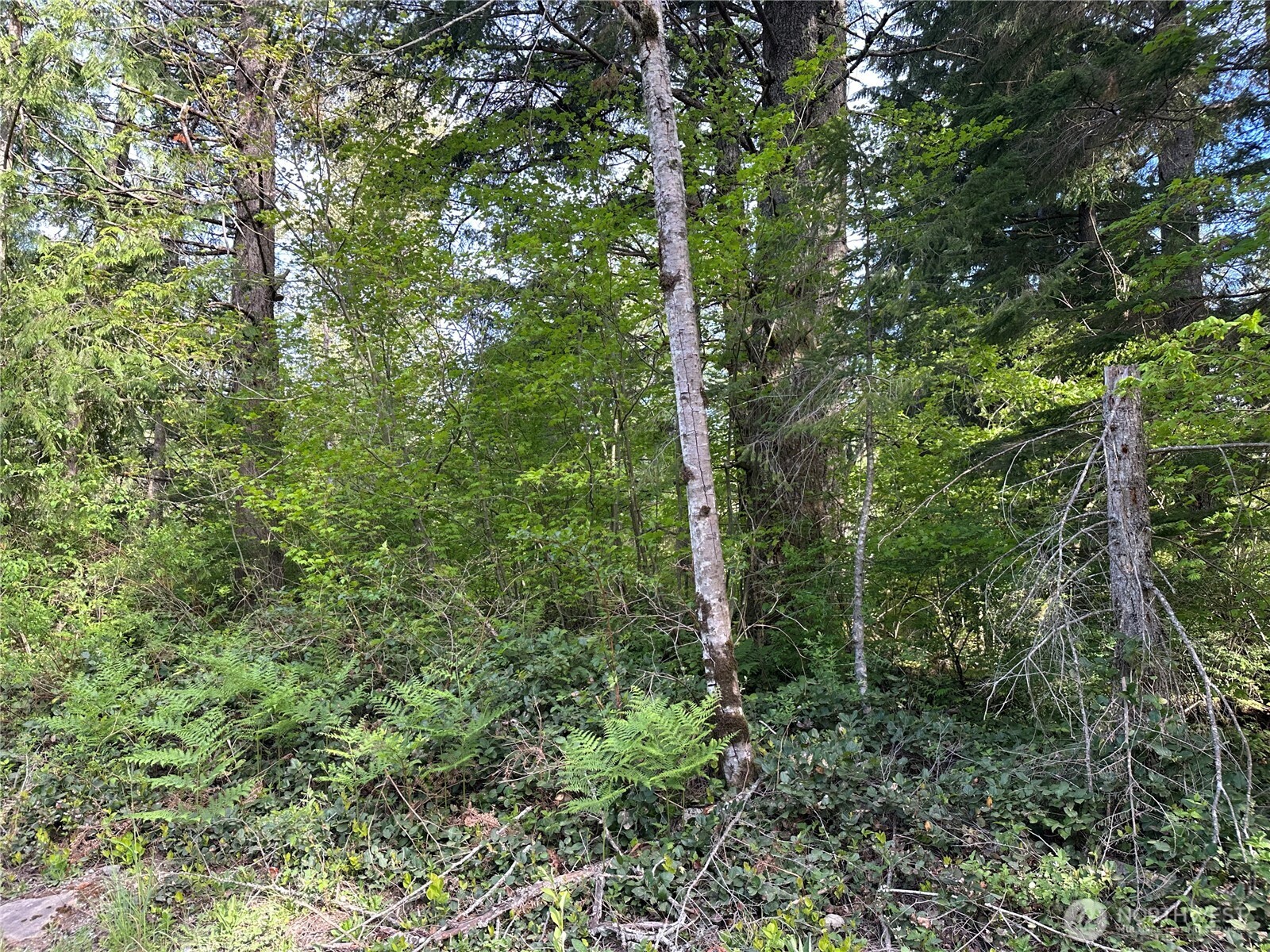 0 348th Avenue SE Snoqualmie WA 98065