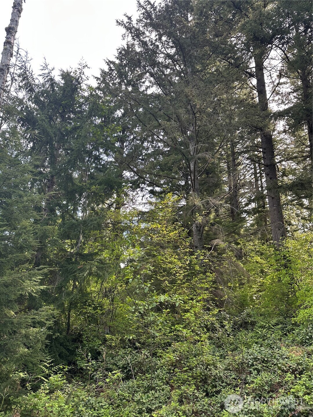 0 348th Avenue SE Snoqualmie WA 98065