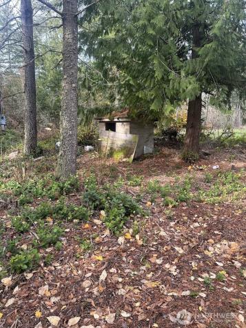 15818 153rd Avenue SE Yelm WA 98597