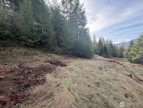 115 Ridge Lane Packwood WA 98361