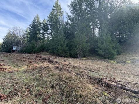 115 Ridge Lane Packwood WA 98361
