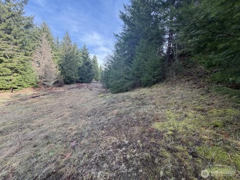 115 Ridge Lane Packwood WA 98361