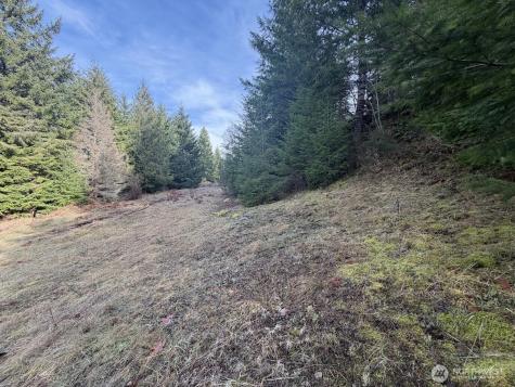 115 Ridge Lane Packwood WA 98361