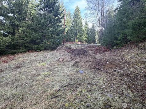 115 Ridge Lane Packwood WA 98361
