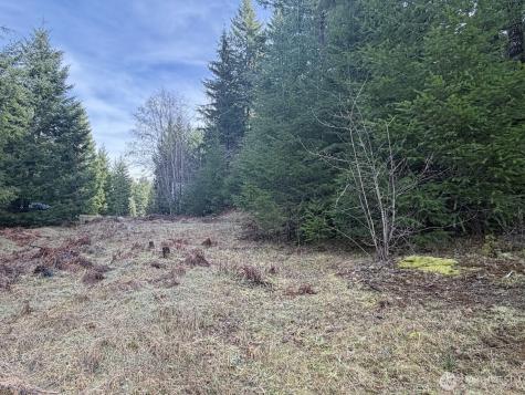 115 Ridge Lane Packwood WA 98361