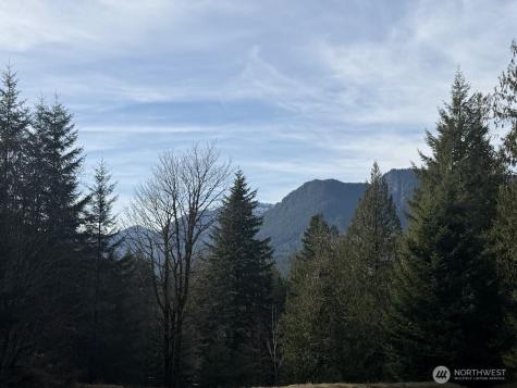 115 Ridge Lane Packwood WA 98361