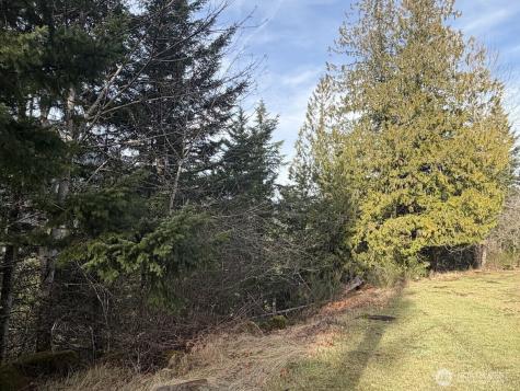 115 Ridge Lane Packwood WA 98361