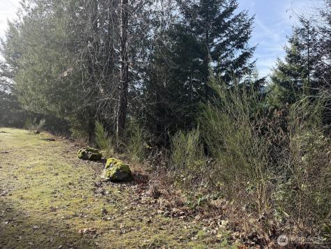 115 Ridge Lane Packwood WA 98361
