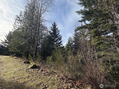115 Ridge Lane Packwood WA 98361