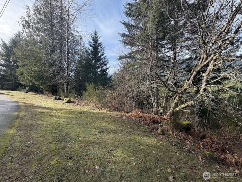 115 Ridge Lane Packwood WA 98361