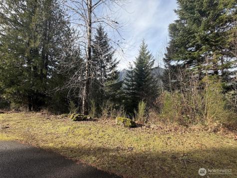 115 Ridge Lane Packwood WA 98361