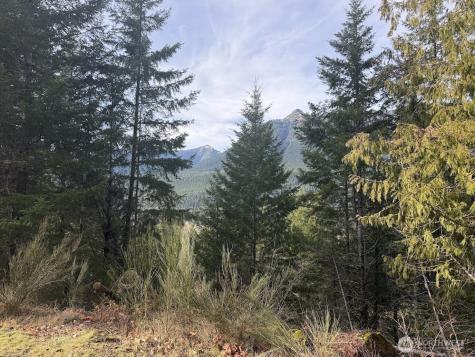 115 Ridge Lane Packwood WA 98361