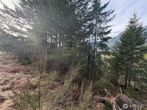 115 Ridge Lane Packwood WA 98361