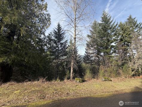 115 Ridge Lane Packwood WA 98361