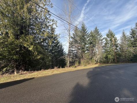 115 Ridge Lane Packwood WA 98361
