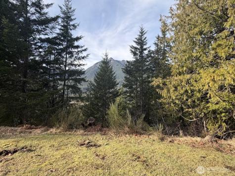 115 Ridge Lane Packwood WA 98361