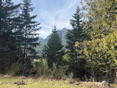 115 Ridge Lane Packwood WA 98361